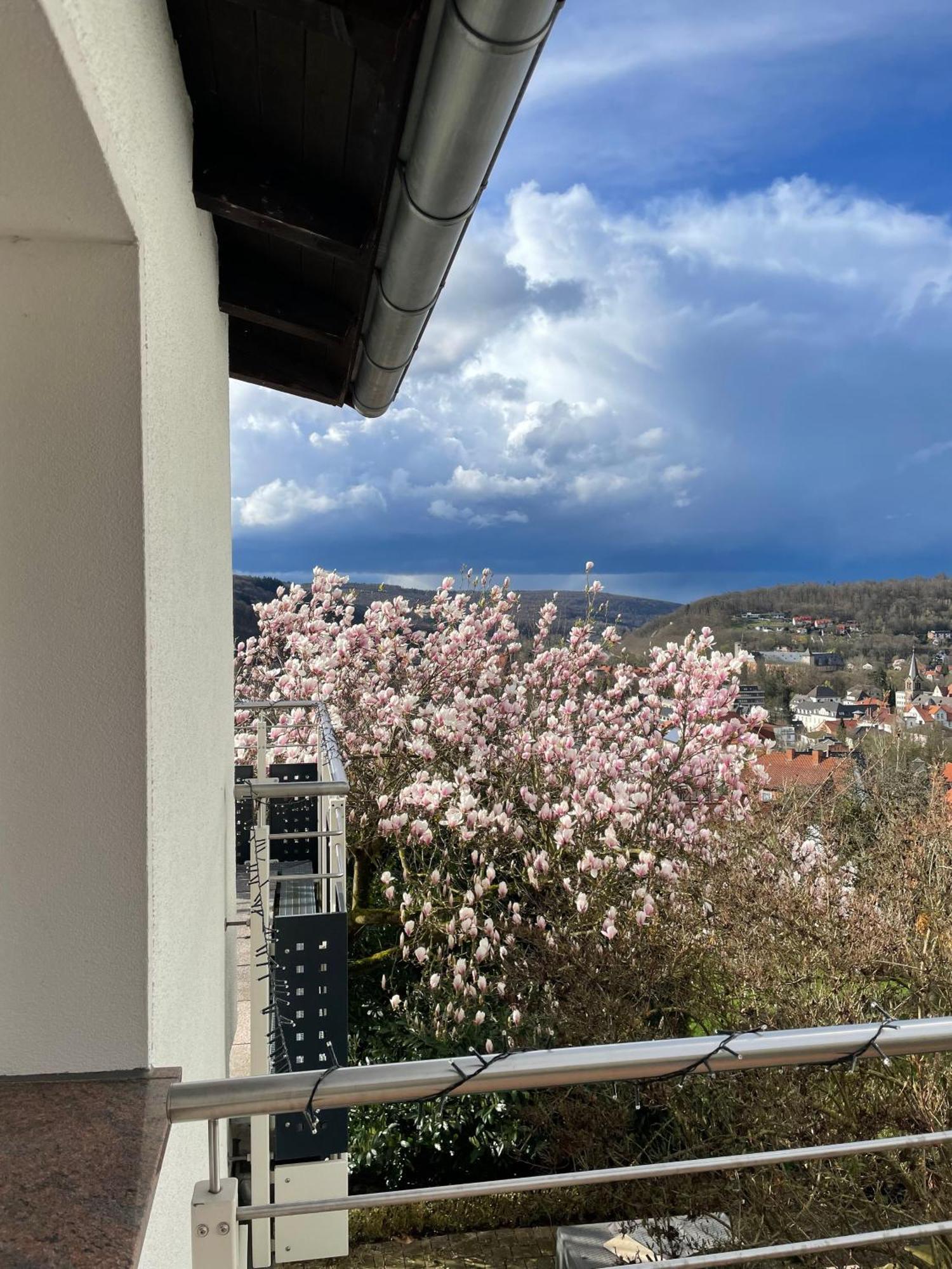Ferienhaus Chalet Andante Hannoversch Münden Exterior foto